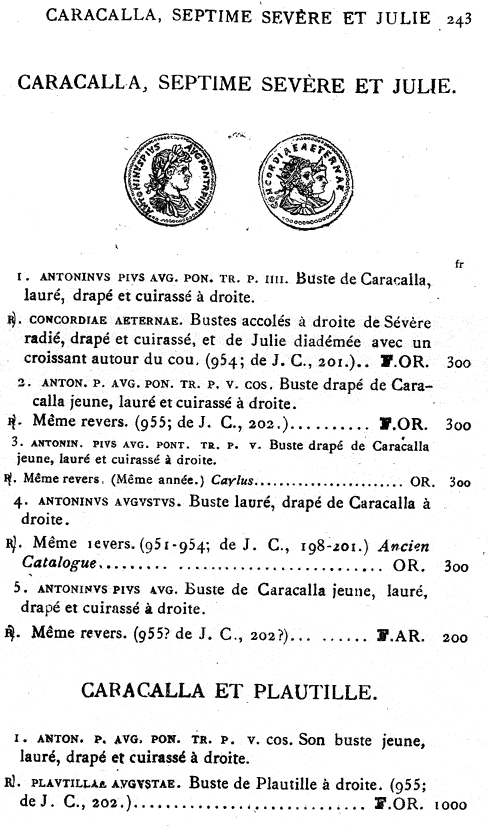 page 243